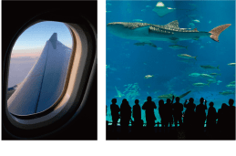 飛行機の窓／水族館の水槽